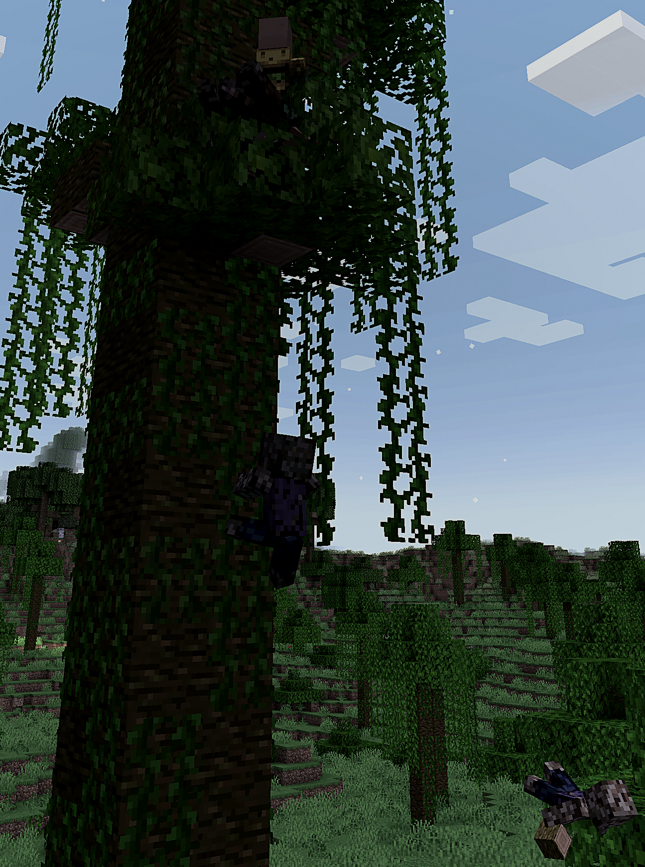 climbing