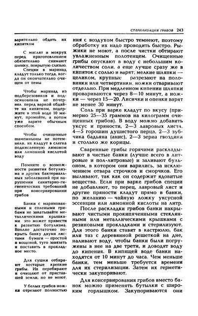 1989-246