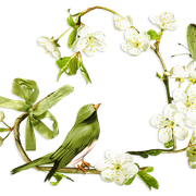 cluster-frame-121