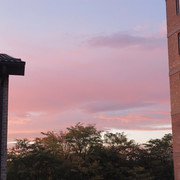 IMG_0086