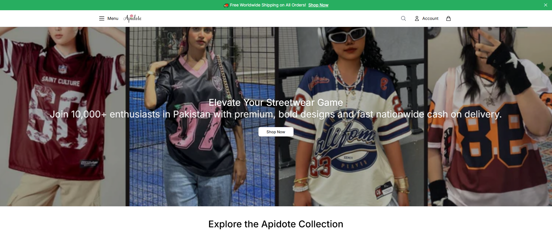 Stored capture of apidotewear.shop
