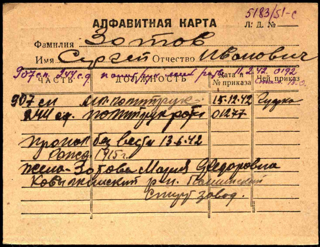 https://i.ibb.co/VcKGTpv8/image.jpg