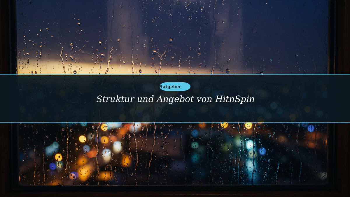 Struktur und Angebot von HitnSpin