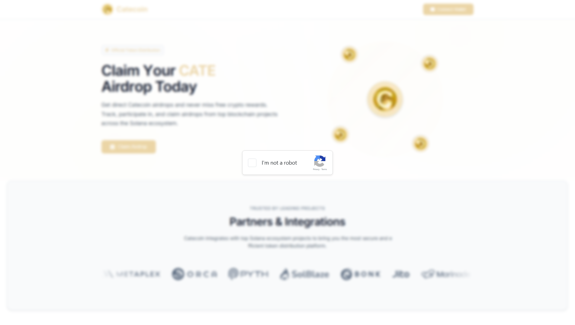 Stored capture of catecoin.digital