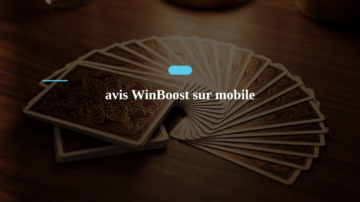 avis WinBoost sur mobile