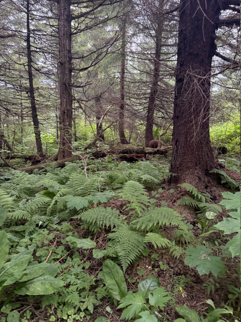 IMG 5935.jpg