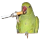 https://i.ibb.co/VcZ3DrGK/2.png