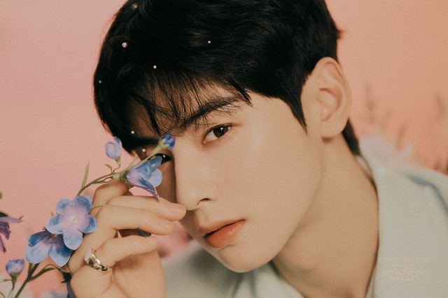 cha eun woo 1215095