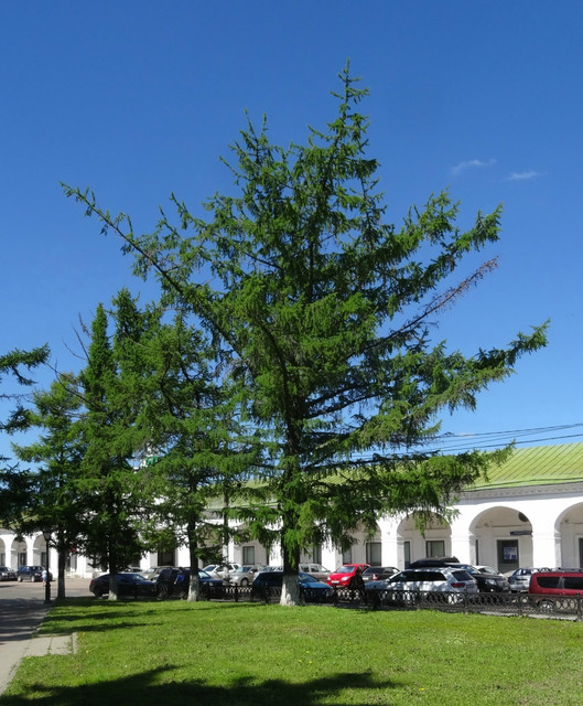DSC05293-5.jpg