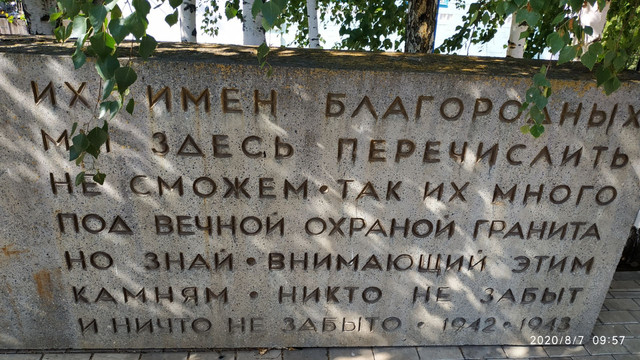 https://i.ibb.co/Vcc16ZWR/image.jpg