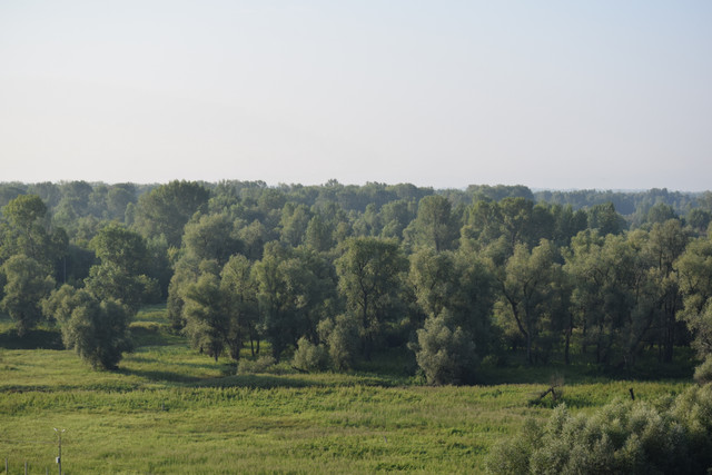 DSC 0616.jpg
