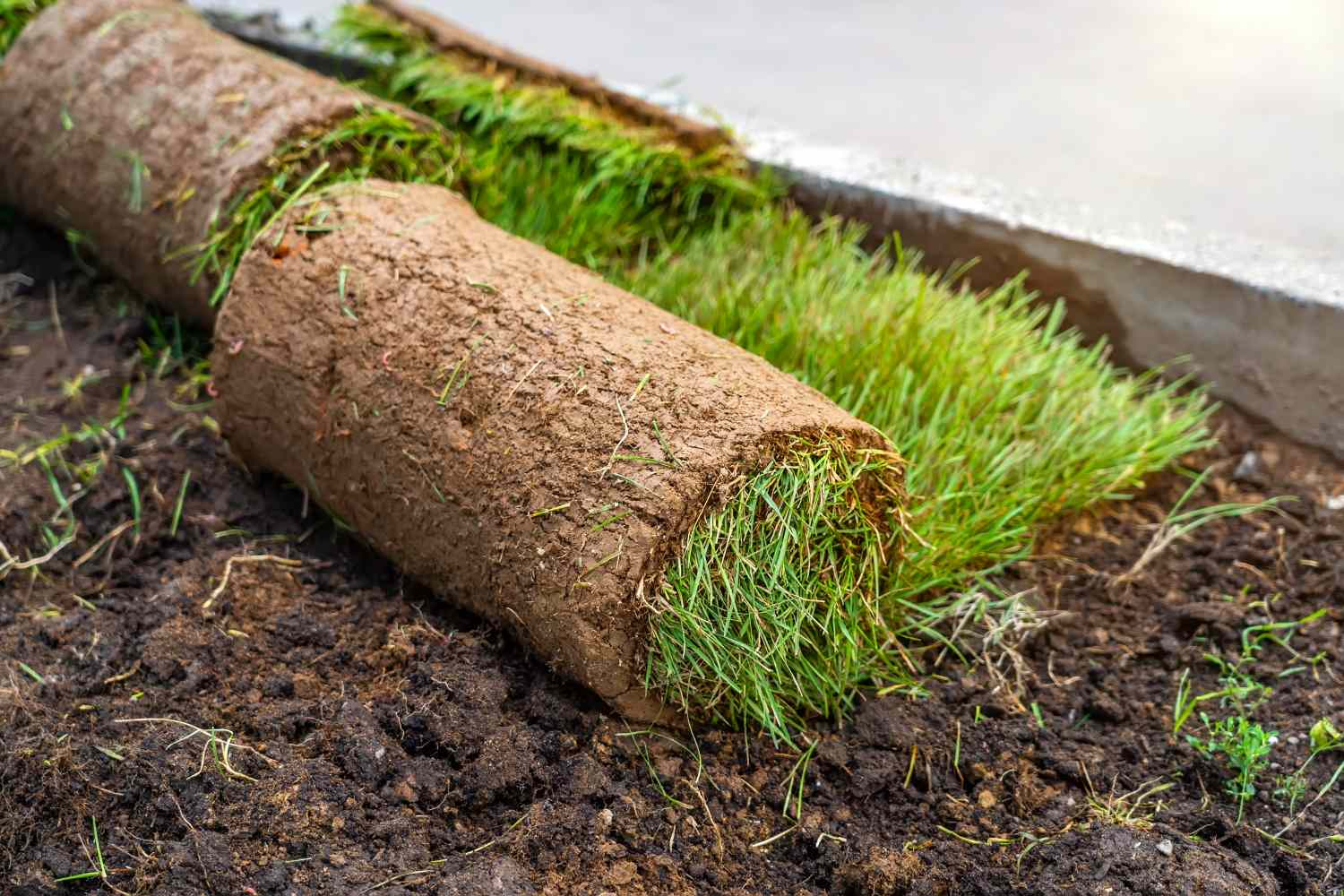 Sod Removal in Central Florida