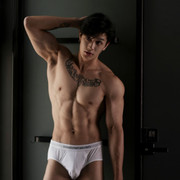 Adonis 02 81