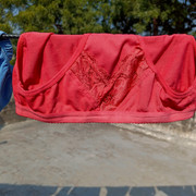 IMG20201105135719
