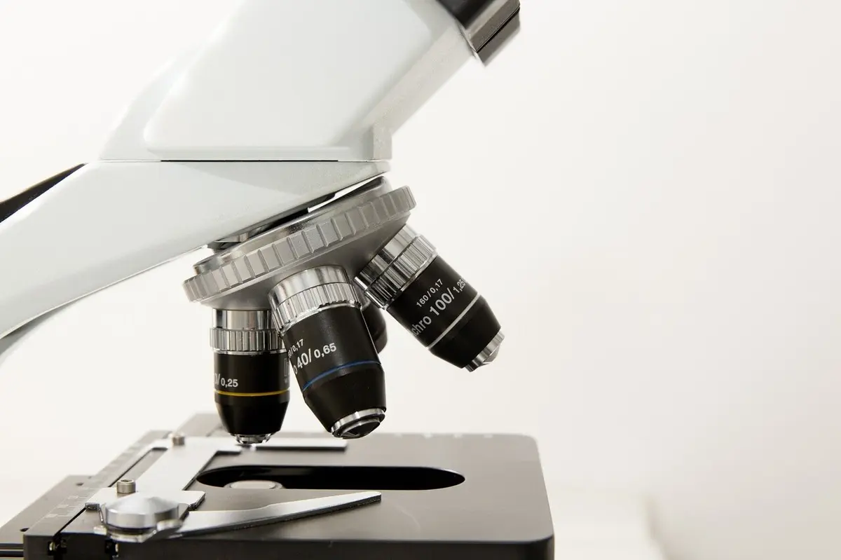 New Dietary Compound Enhances Effectiveness of Lupus Treatment
