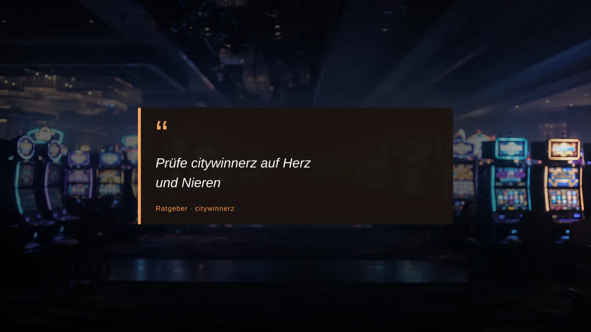 Prüfe citywinnerz auf Herz und Nieren
