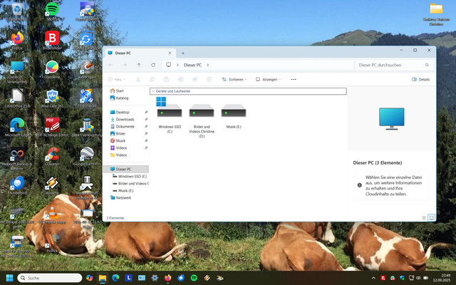 dieser-pc