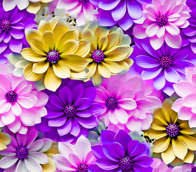 DP 26 M3.jpg