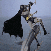 Batman-Punches-Shark-In-The-Guts-1.gif