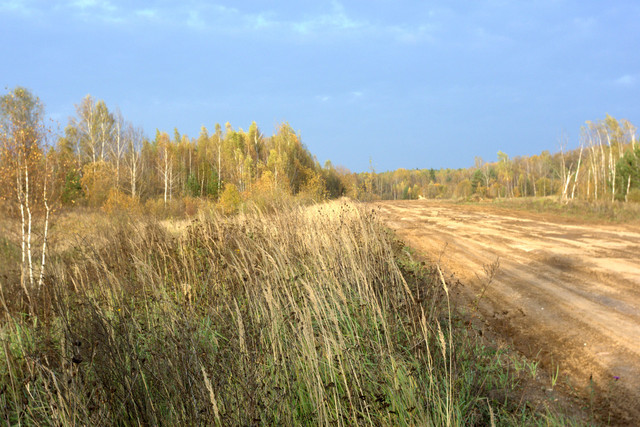 DSC7463-result.jpg
