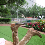 IMG 5245
