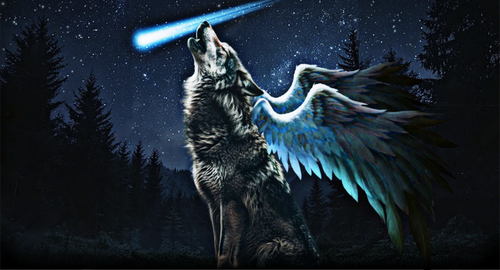 https://i.ibb.co/VcxdPTf5/starfall.png