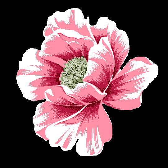 726fd3ca0429edacb86b80a6592071e2.png