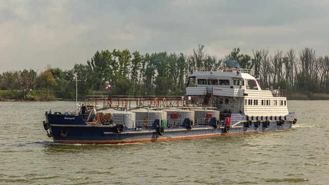 IMG 0503.jpg