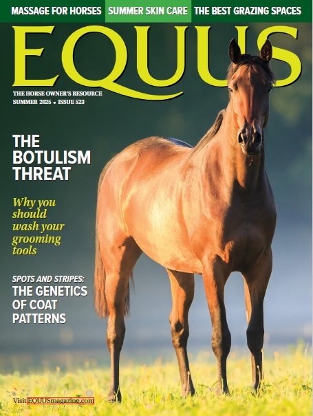 Equus – Summer 2025