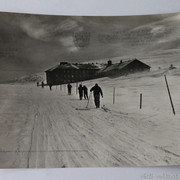IMG-6477