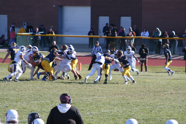 IMG-3179.jpg