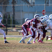 IMG-4116