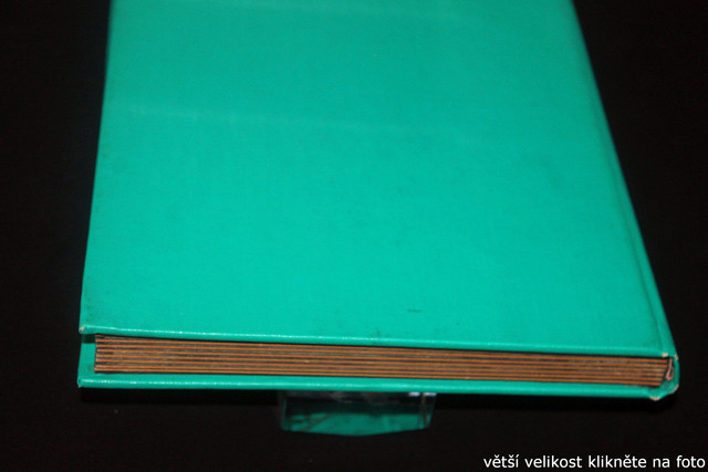 IMG-3266.jpg