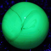 IMG-0133-Sharpen-AI-Motion