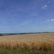 DSCF6177
