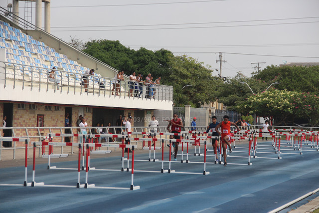 IMG-0031.jpg