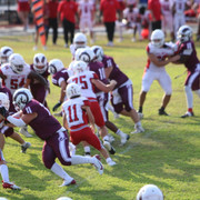IMG-2087