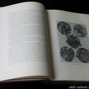 IMG-6396