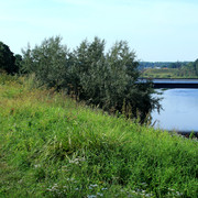 IMG-1679