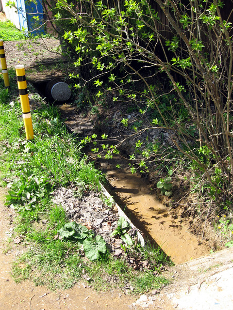 IMG-1289