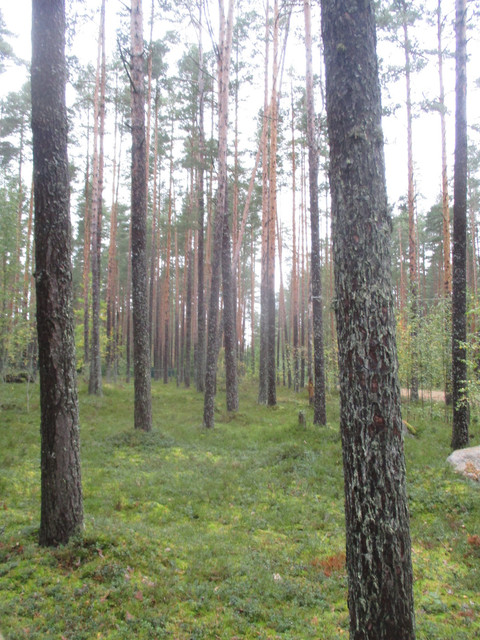 IMG-9666