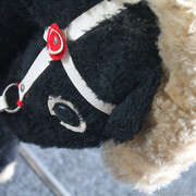 IMG-8835
