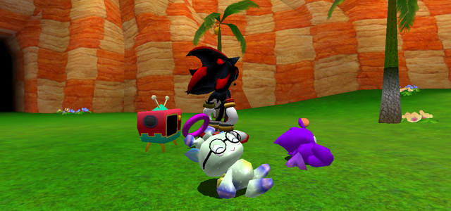 Cosmo-looks-at-camera.png