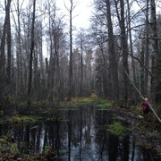IMG-4468