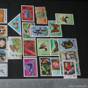 IMG-1984