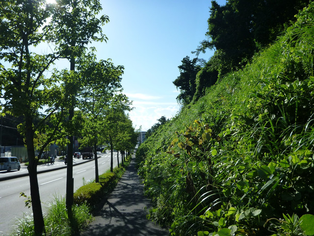 P1340171.jpg