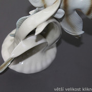 IMG-7903