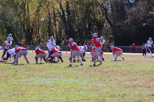 IMG-1172.jpg