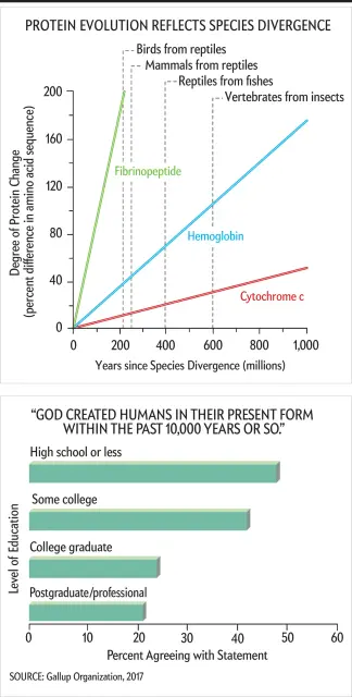 scientificamericandebates1217-94-I7