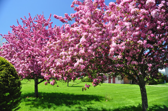 spring-068